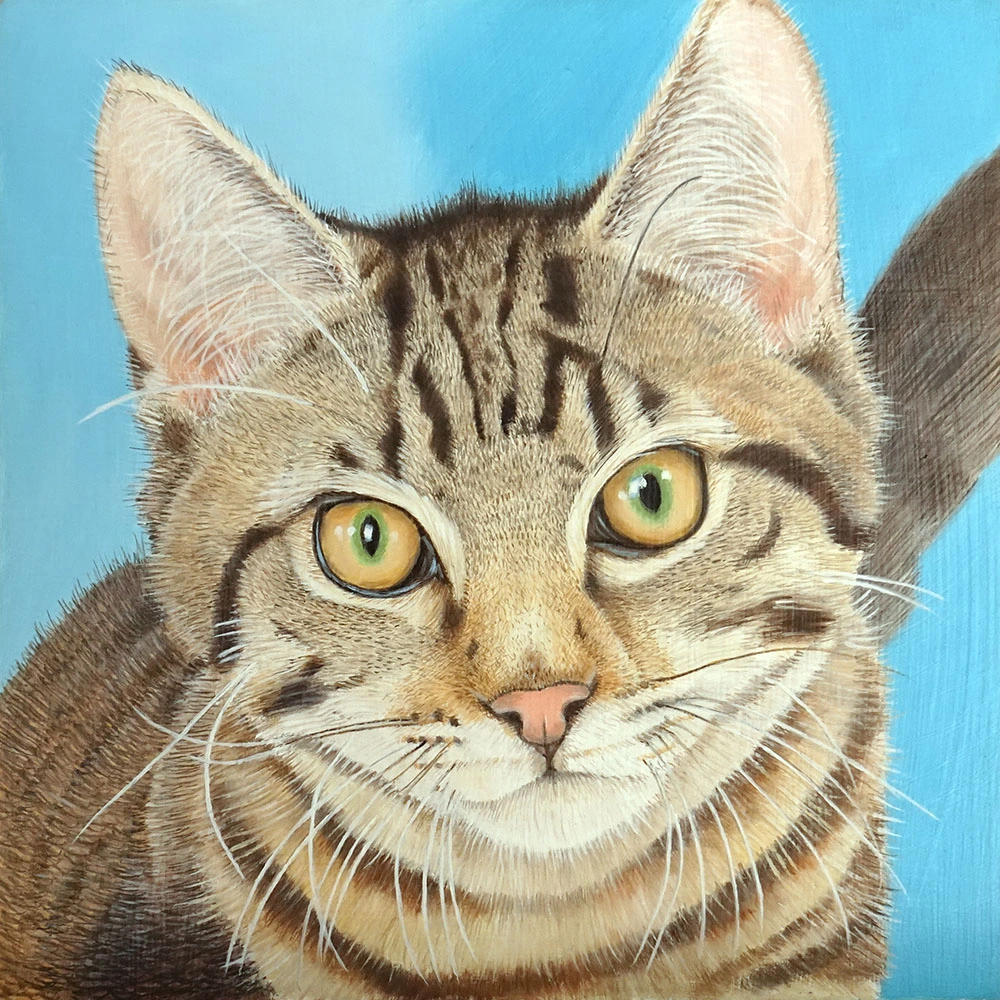 Cat painting by artist Peter Segasby.