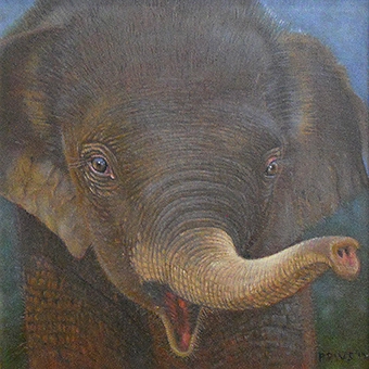 Painting of an elephant by artist Peter Segasby