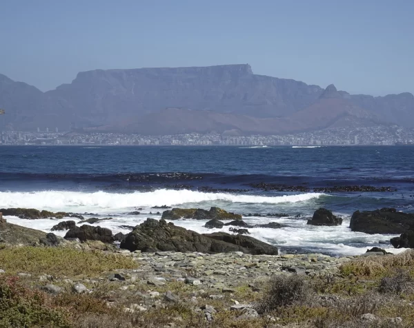 Table Mountain and the city of Cape Town. Photograph by Peter Segasby